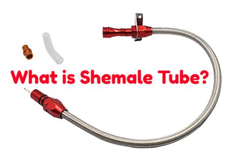 ashemaletubed|New Shemale Tube.